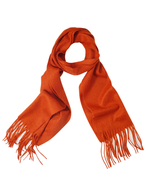 Ascot Cashmere Scarf - Image 22