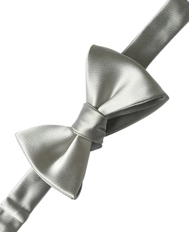 Formal Silk Bow Tie