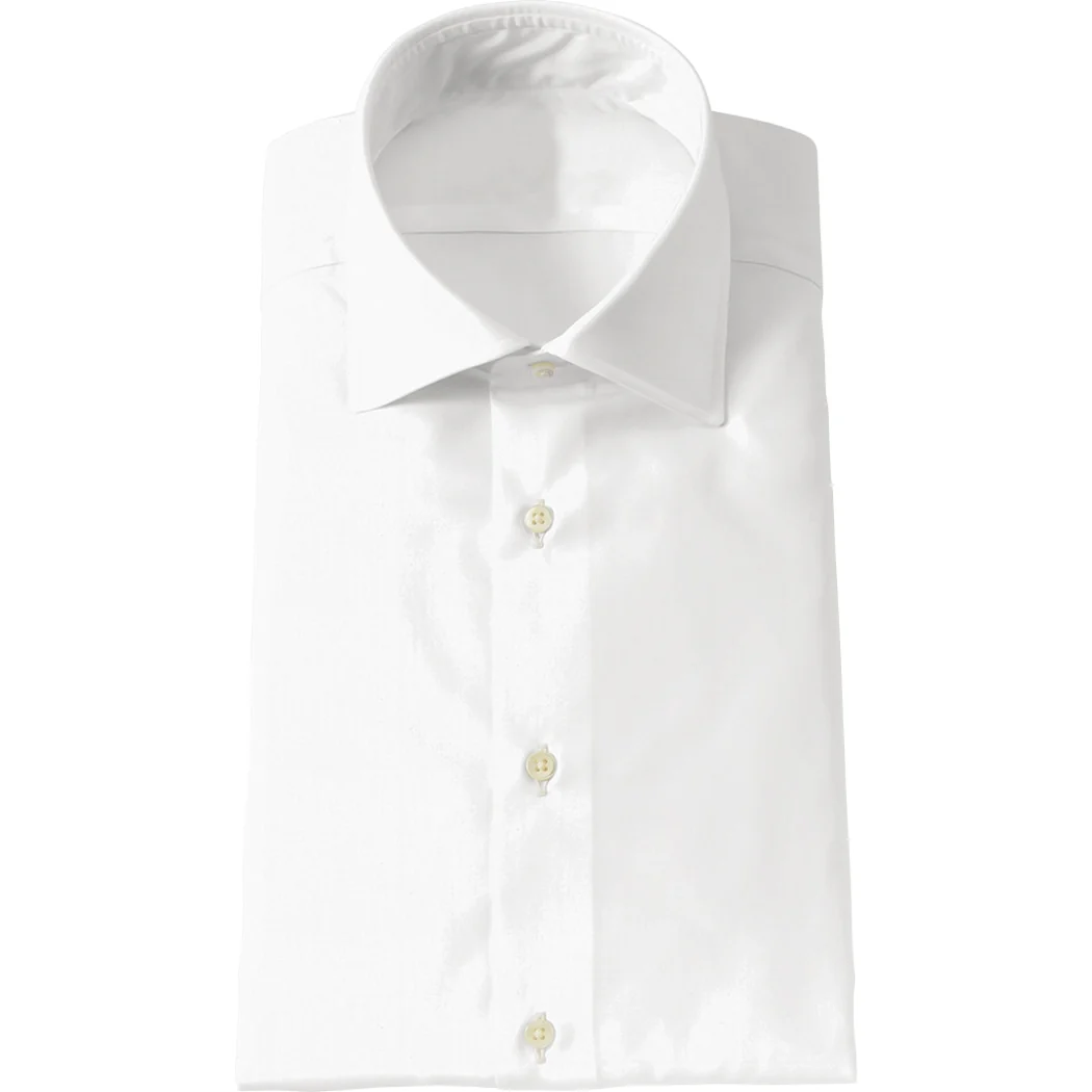 M101S2555SC- AMERICAN SEA ISLAND COTTON - Twill - Image 2
