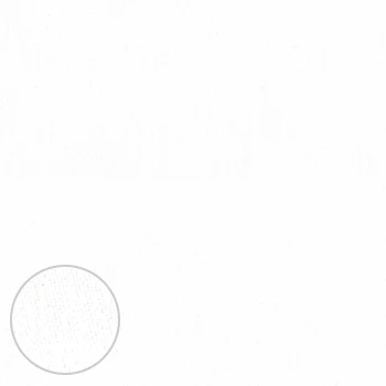 M101S2017T THOAMS MASON Twill - Image 4
