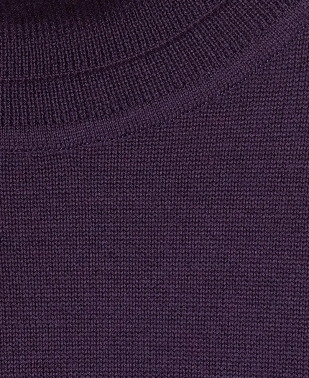 Turtleneck Sweater 12-gauge Super Extra Fine Merino - Image 17